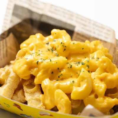 Oas Mac And Cheese LEGO Fries