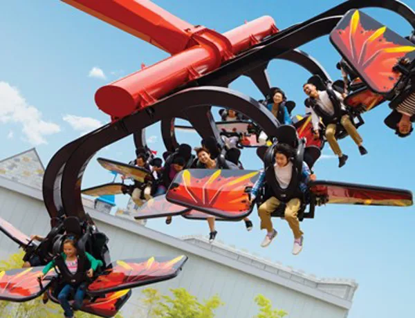 Flying NINJAGO Mini