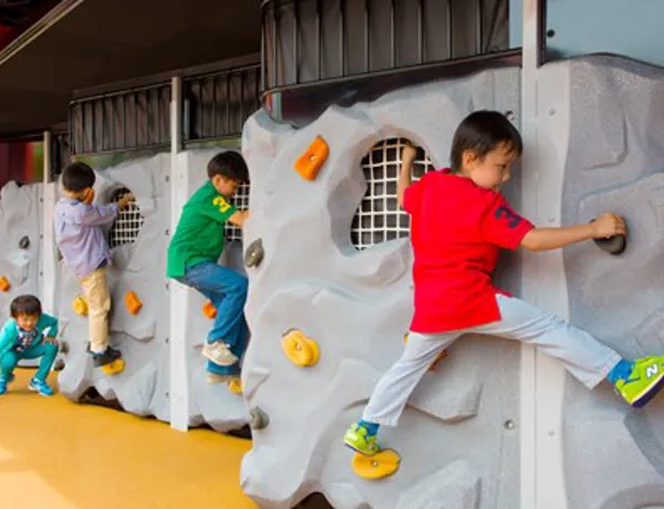 Rockclimb Mini