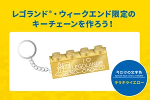 Llw 202406 Keychain