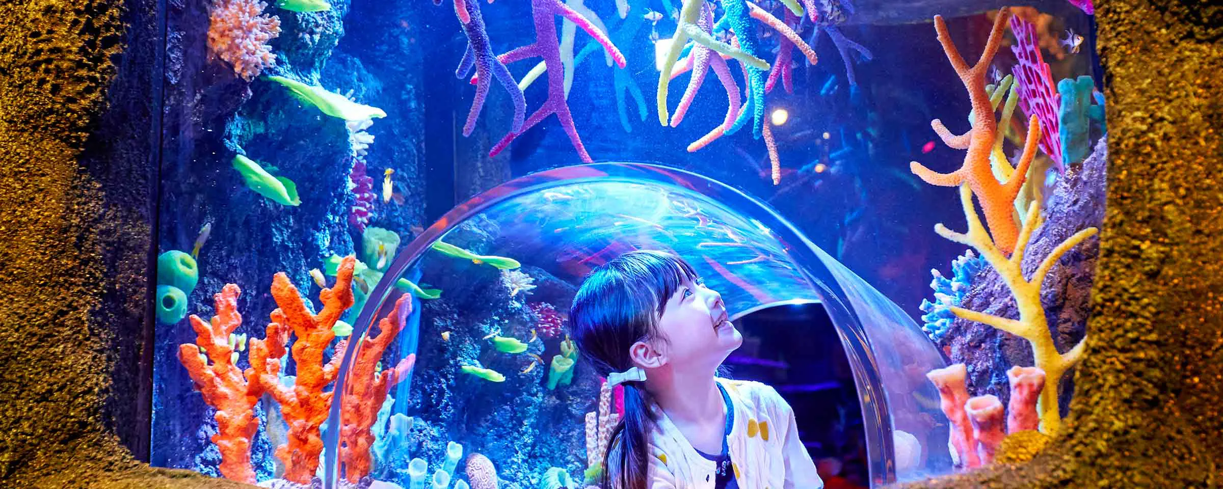 サンゴ礁の海