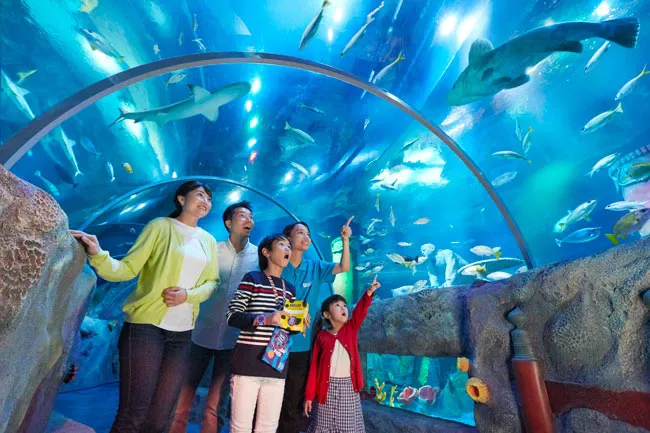 Sea Life Tunnel 108 650