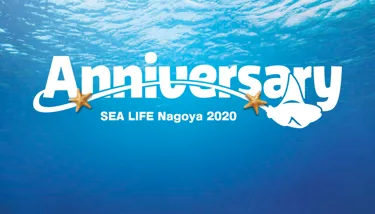 Sealife Nagoya 2020Springbanner(1)