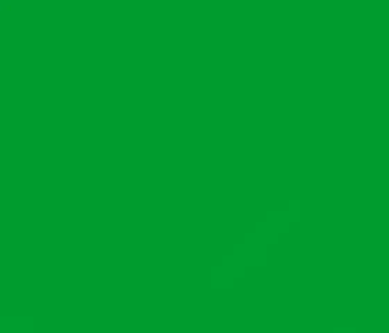 Blank Banner