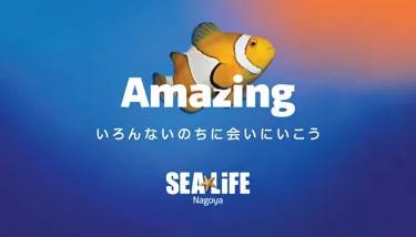 Sealife Christmas Banner