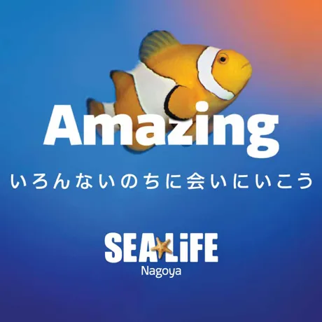 Sealife Christmas Banner