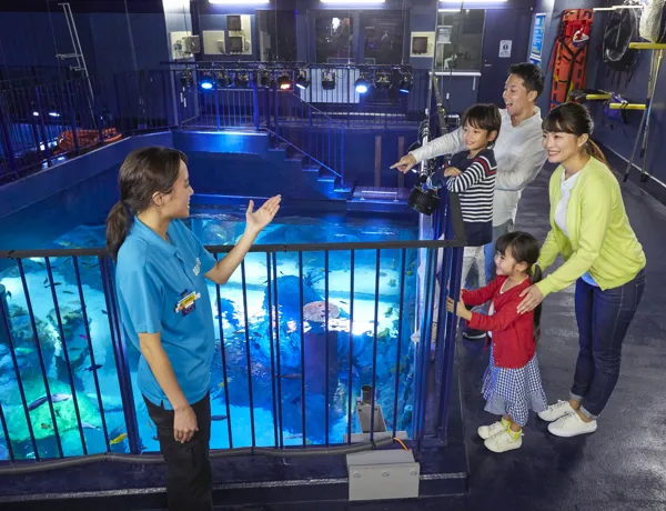 Sea Life Backyard Tour 060